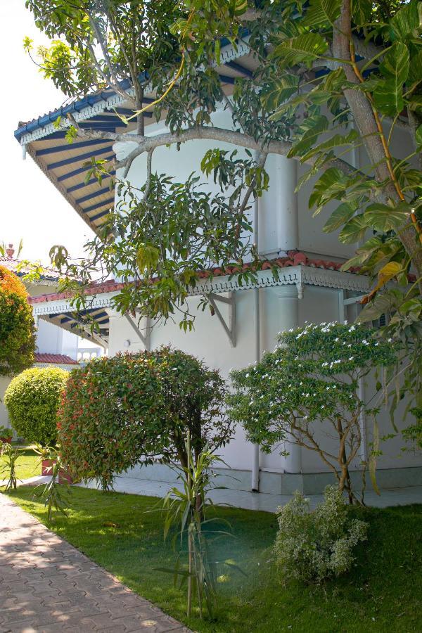 Alma Beach Hotel Weligama